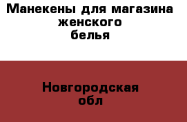 Манекены для магазина женского белья  - Новгородская обл., Великий Новгород г. Бизнес » Оборудование   